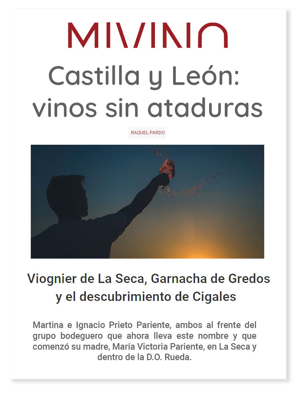 Mi vino Castilla y Leon