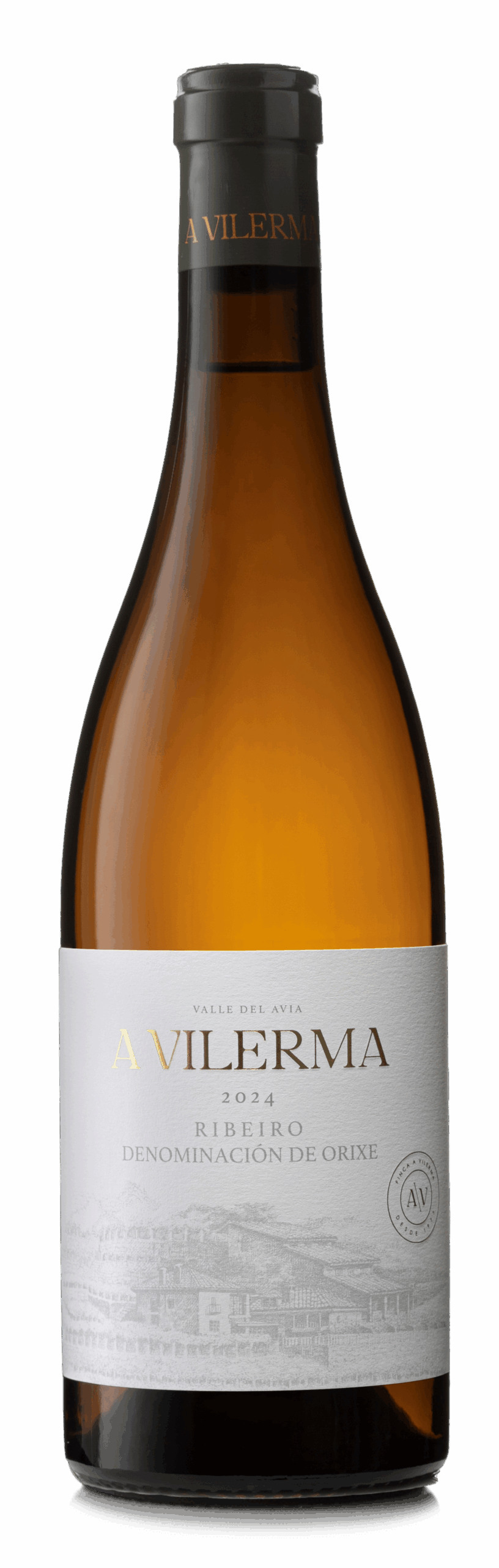A Vilerma Ribeiro 2024